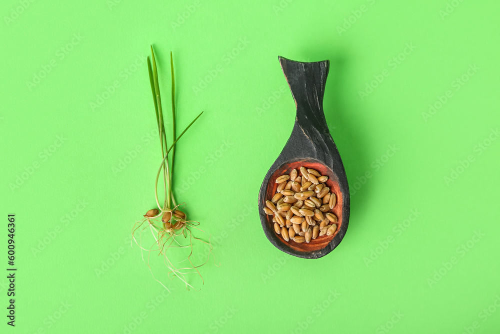 Spoon with fresh wheatgrass on green background