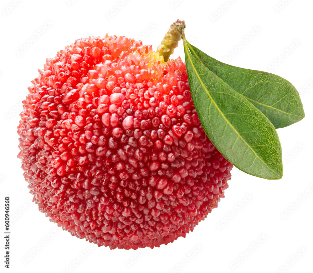 Red Yangmei or Arbutus berries fruit on white, Red Bayberry, Yumberry, Yamamomo, Waxberry on white w