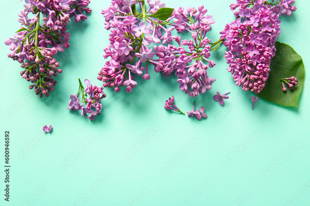 Blooming lilac flowers on turquoise background