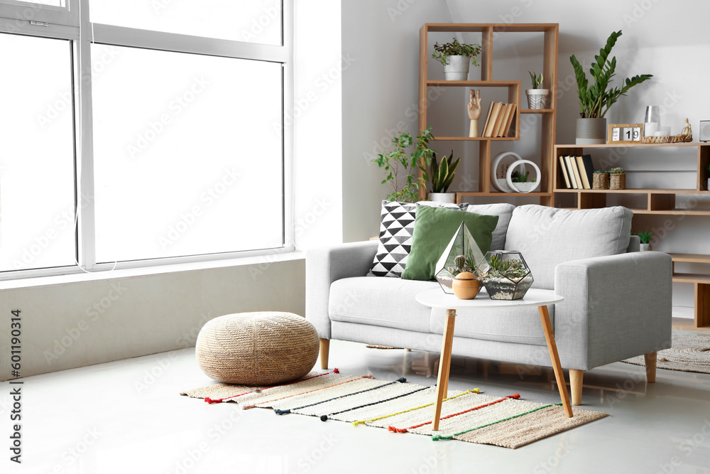 Interior of light living room with sofa, florariums and bookcase