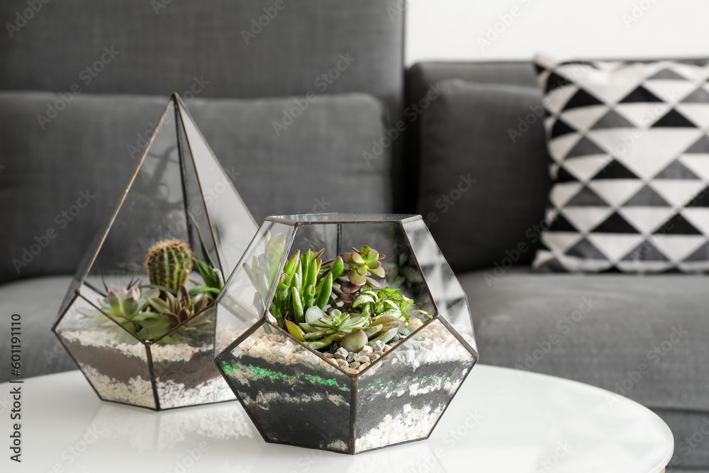 Florariums on table in living room, closeup