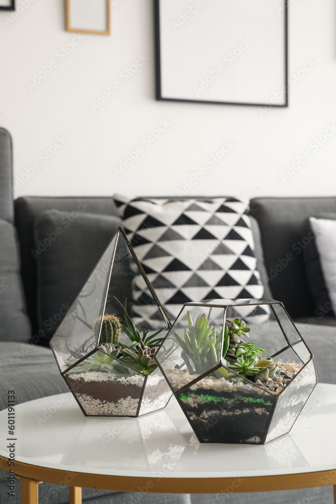 Florariums on table in living room, closeup