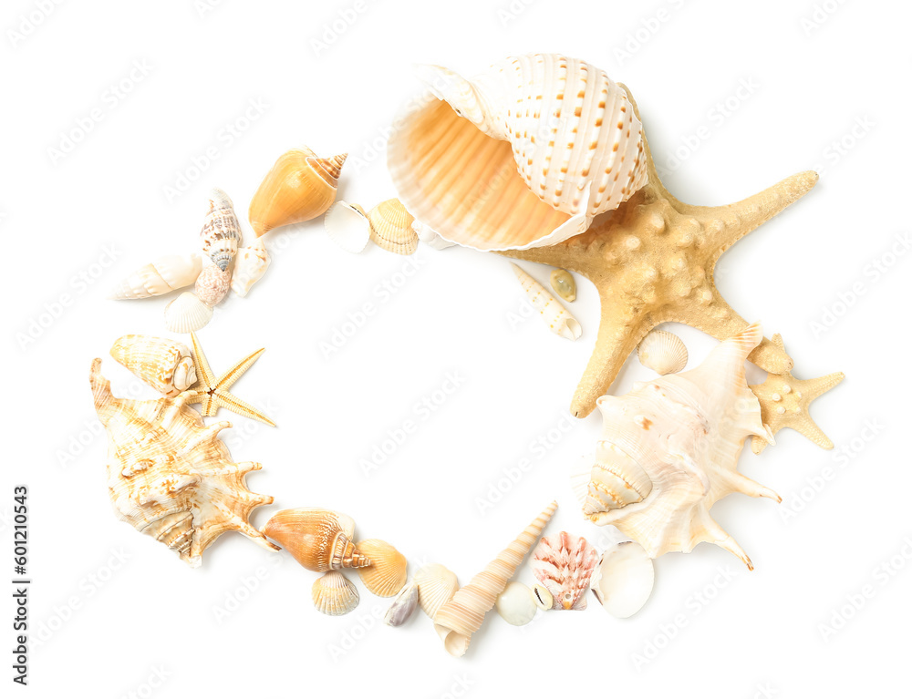 Frame made of seashells and starfishes on white background