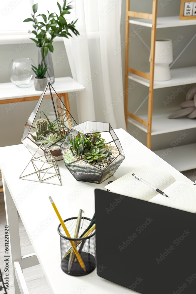 Modern workplace with laptop and florariums in office