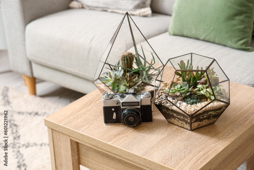 Florariums with photo camera on table in living room, closeup