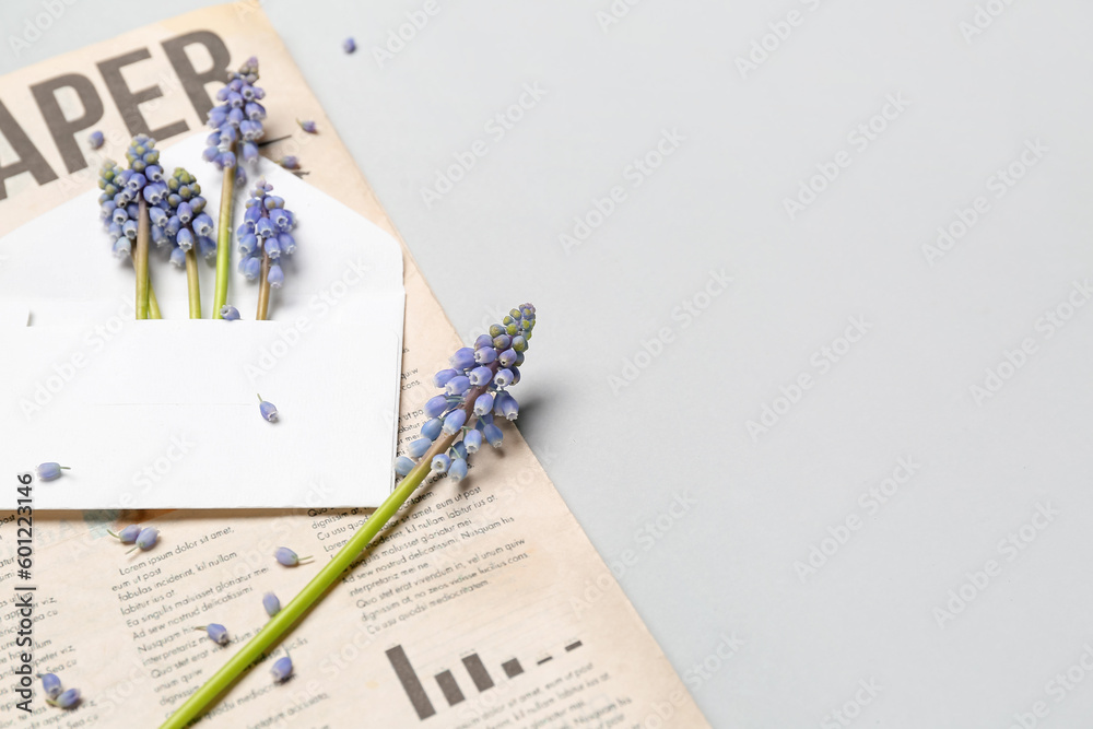 Composition with beautiful Muscari flowers and newspaper on grey background