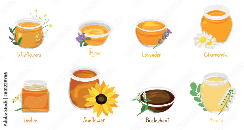 Collection of healthy honey on white background