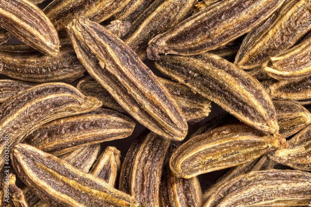 Caraway seeds or cumin seeds. Macro focus stacking