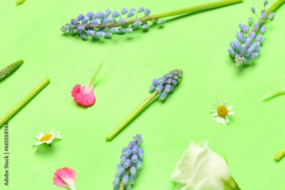 Composition with Muscari and eustoma flowers on green background