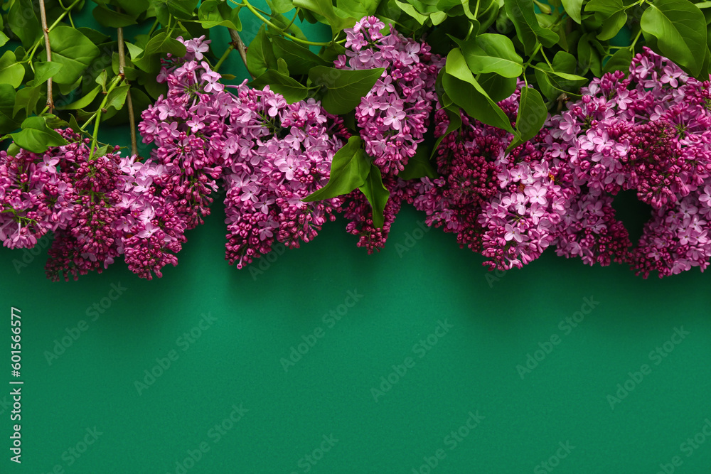 Beautiful lilac flowers on dark green background