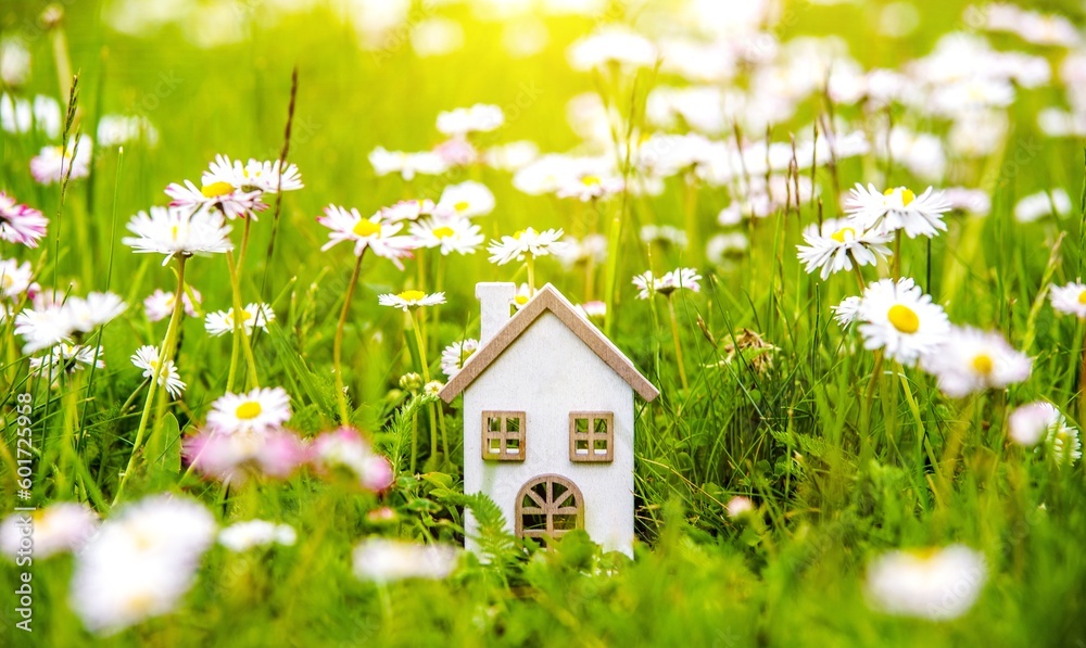 The symbol of the house stands among white daisies 