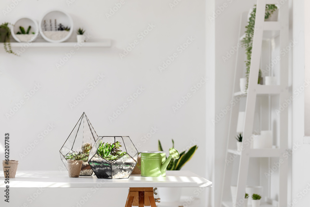 Florariums with gardening tools on table in room