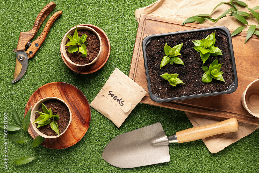 Pack with seeds, seedlings and gardening tools on green background