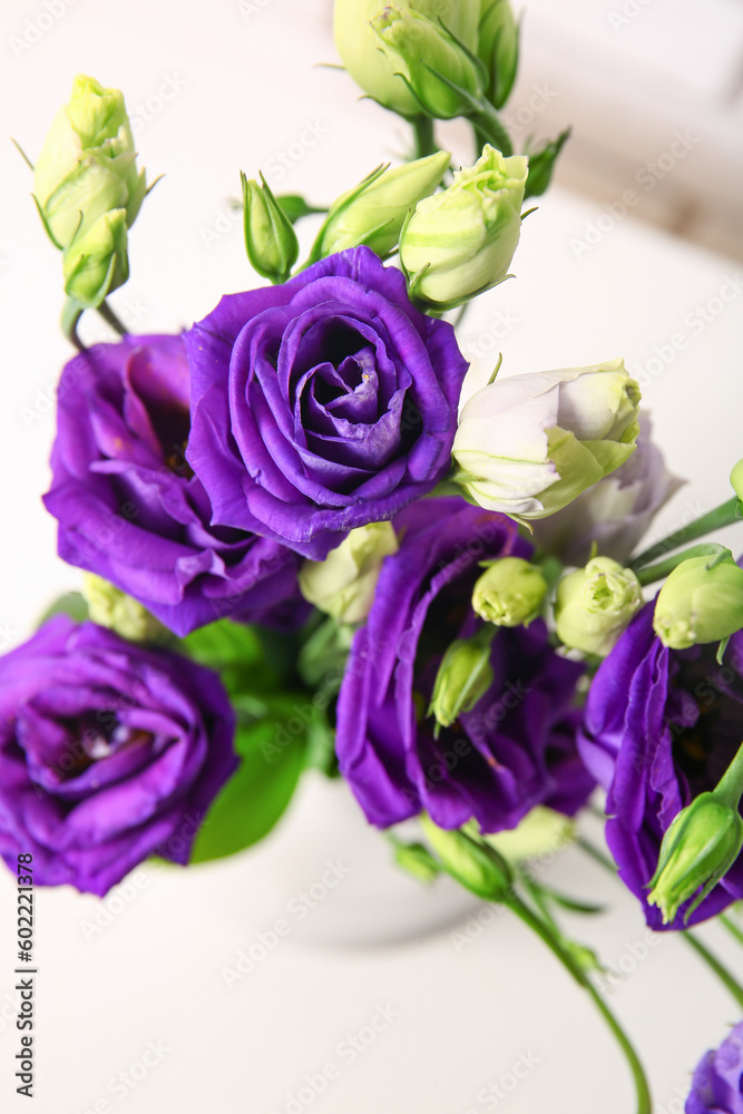 Eustoma flowers on white background