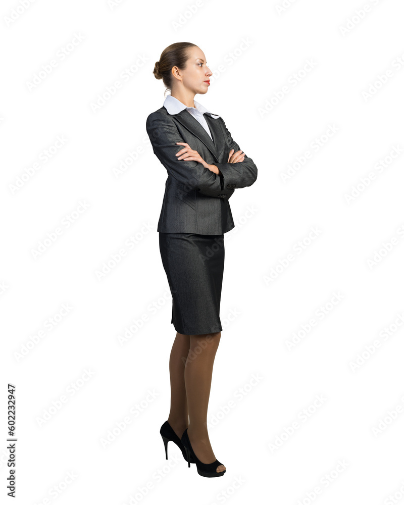 Portrait of a young business woman