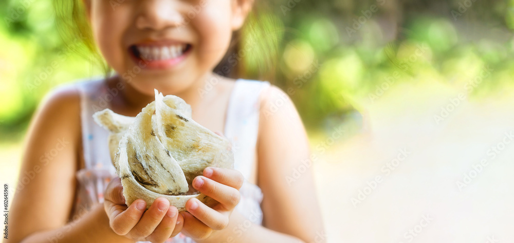 Closeup of swift-let nest on hand little girl