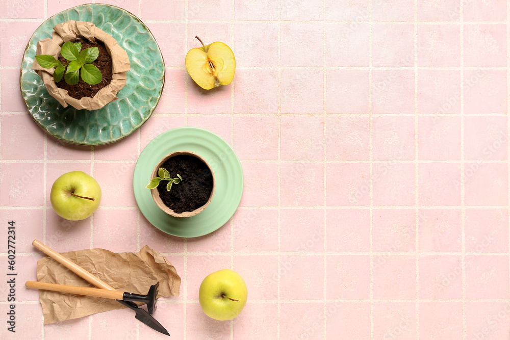 Flower pots with green seedlings, apples and gardening tools on pink tile background