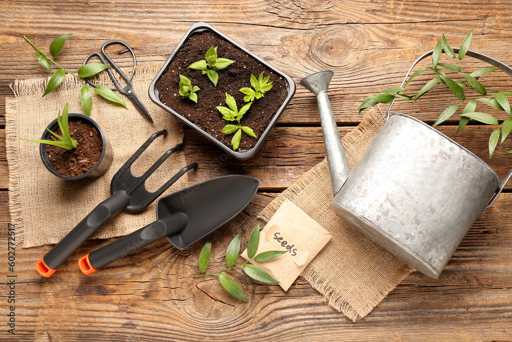 Pack with seeds, green seedlings and gardening tools on wooden background