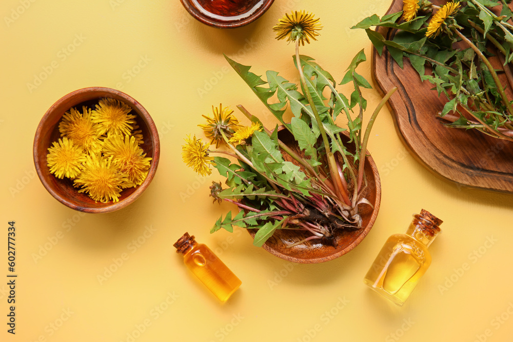 Bottles with cosmetic oil and bowls of dandelion flowers on yellow background