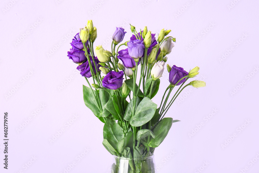 Eustoma flowers on lilac background