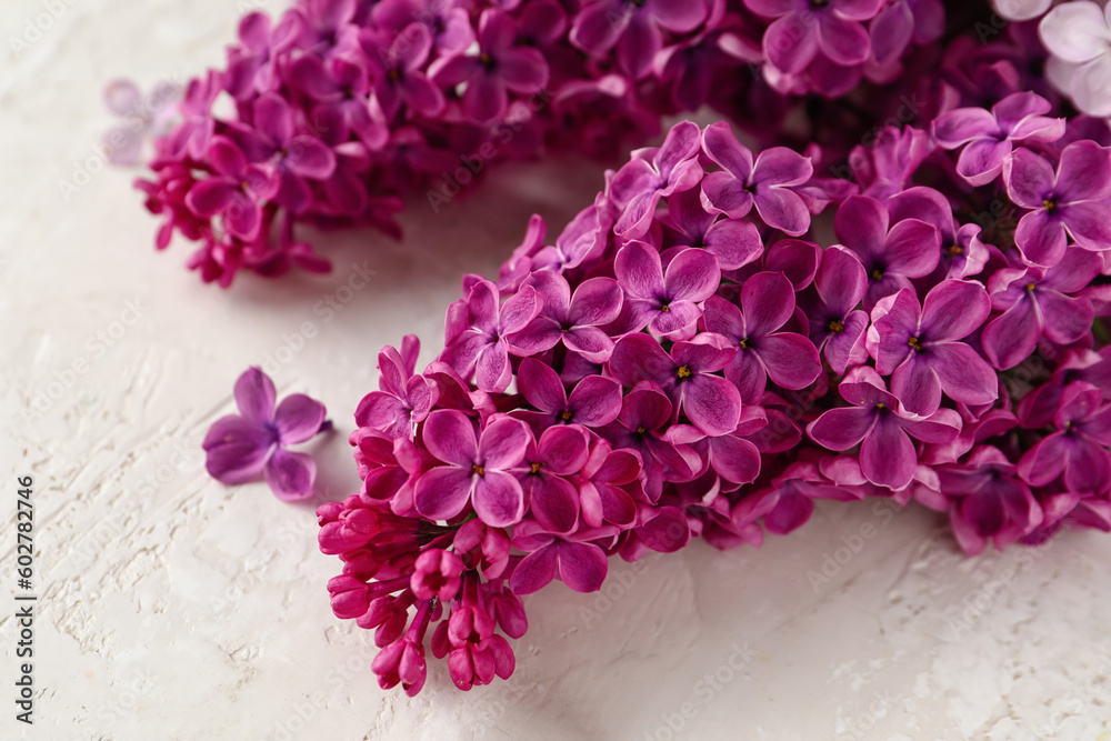 Beautiful fragrant lilac flowers on white textured background