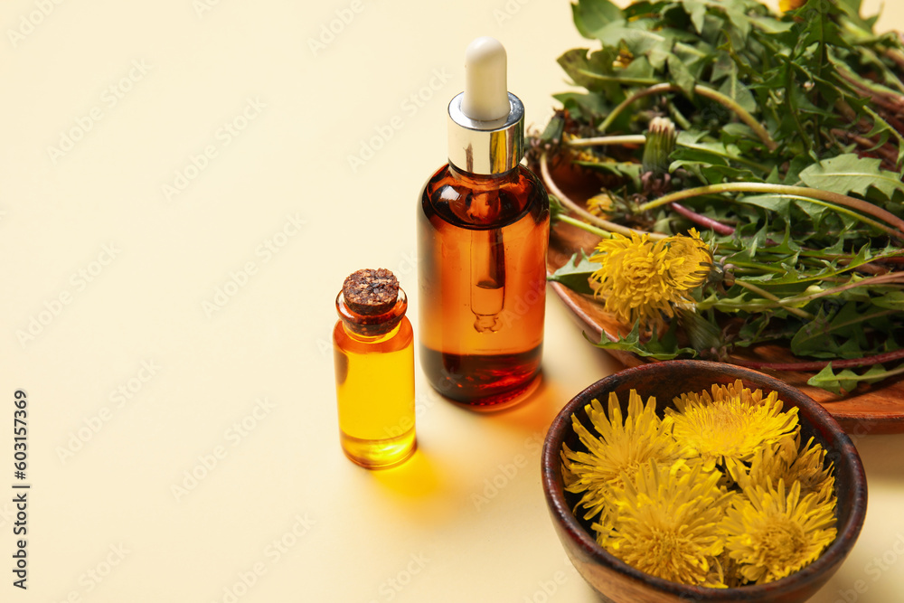 Bottles with cosmetic oil and plate of dandelion flowers on beige background