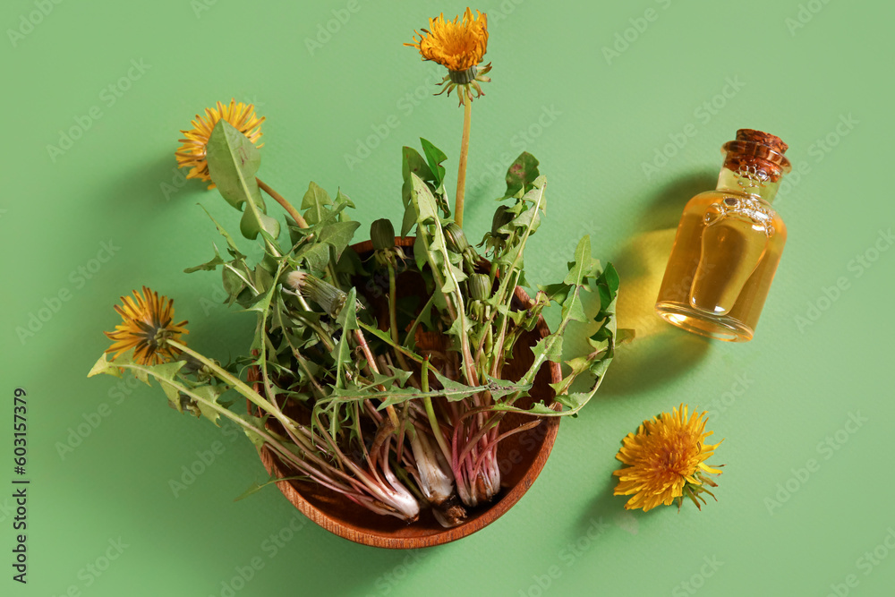 Bottle with cosmetic oil and bowl of dandelion flowers on green background