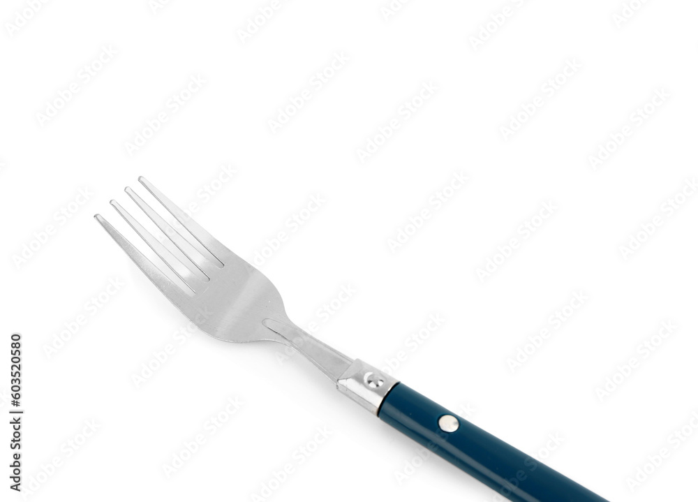 Silver fork with blue handle on white background