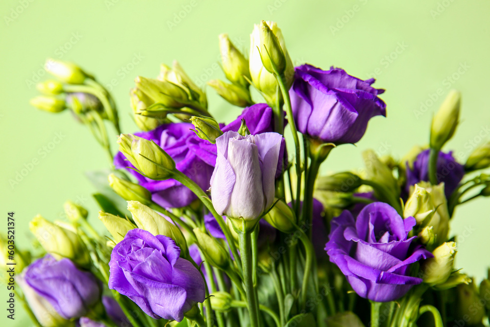 Eustoma flowers on green background