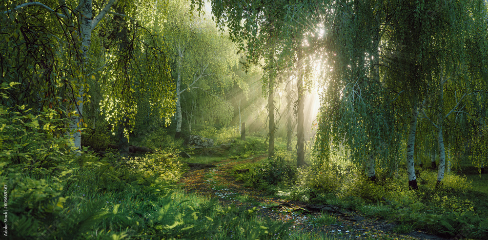 A lush mixed forest of birches and conifers in the evening light in a fine misty haze that, together