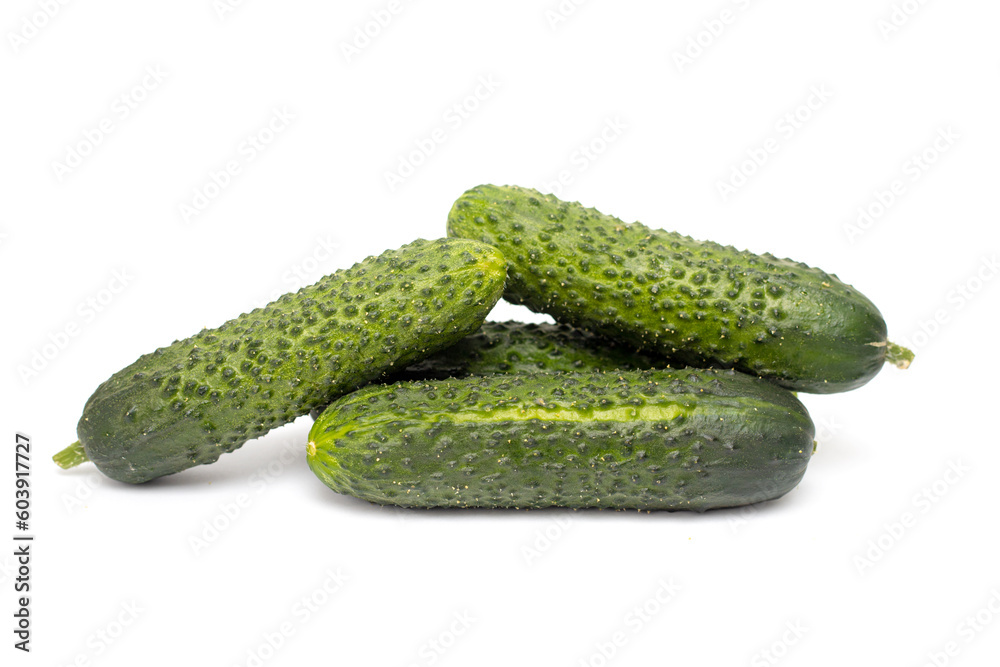 ripe cucumber with pimples on white background