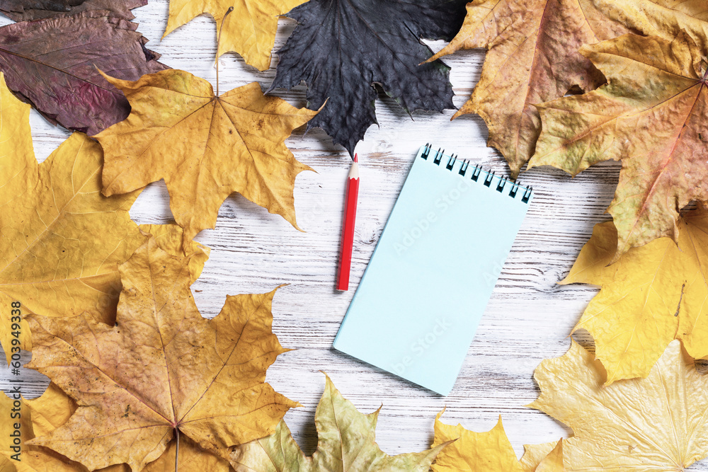 Spiral notepad and pen lies on vintage wooden desk