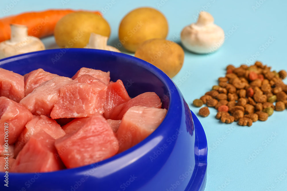 Bowl with raw meat, dry pet food and natural products on blue background, closeup