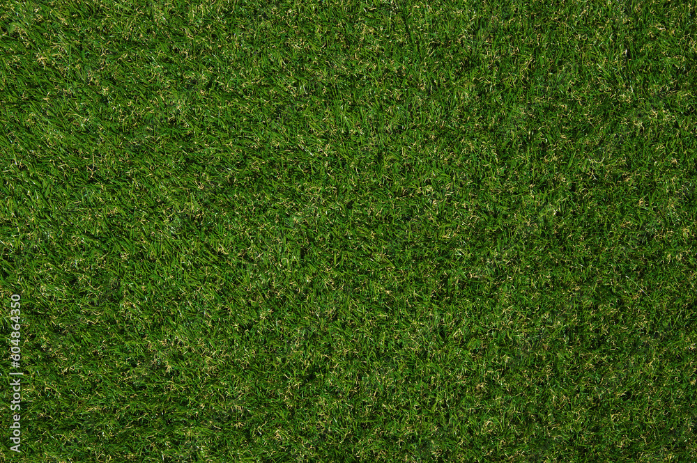 Green grass background