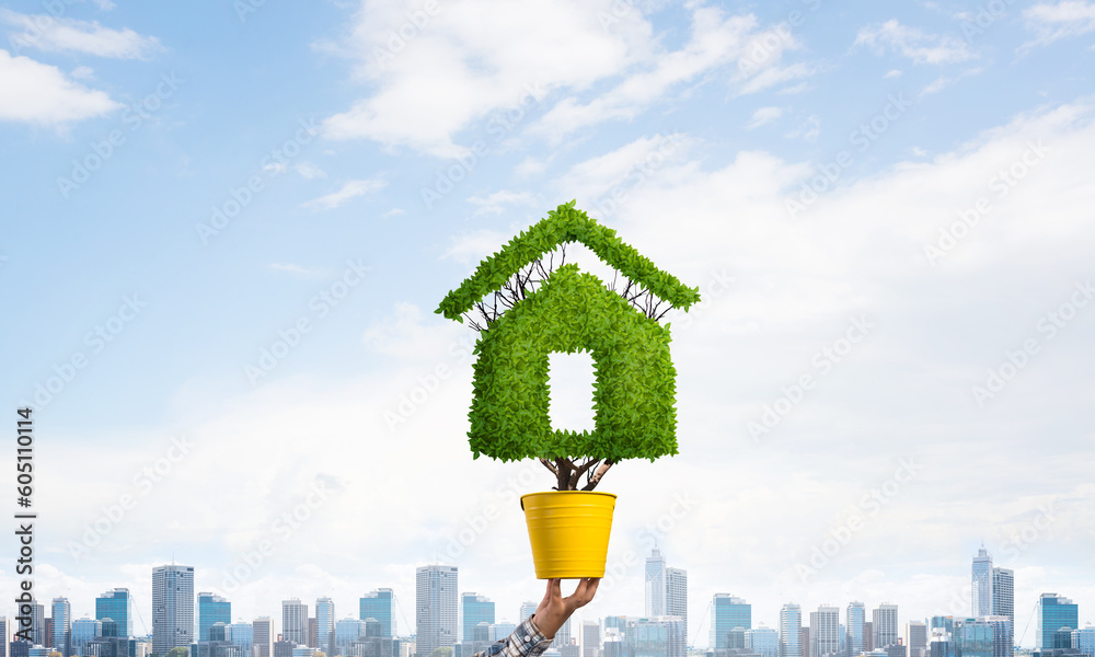 Green plant in shape of house grows in pot