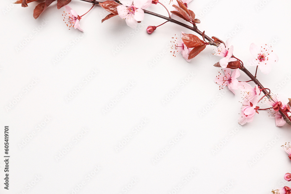 Blooming tree branch with pink flowers on white background