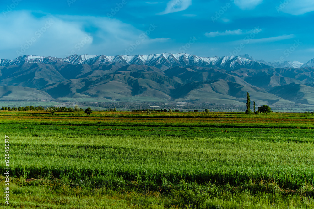 Scenic spring landscape with green field on mountains background, Kyrgyzstan