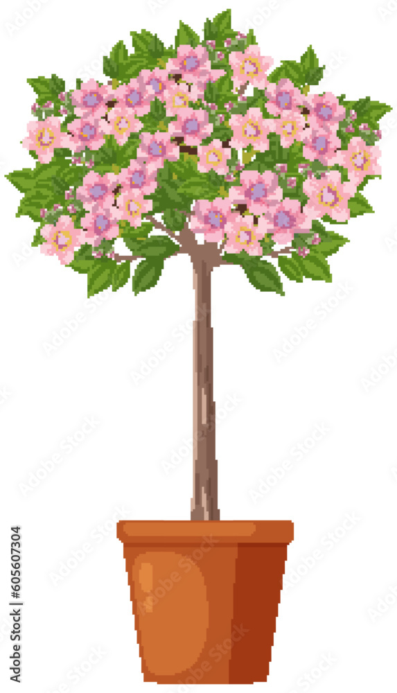 Cherry Blossom Flower Vector