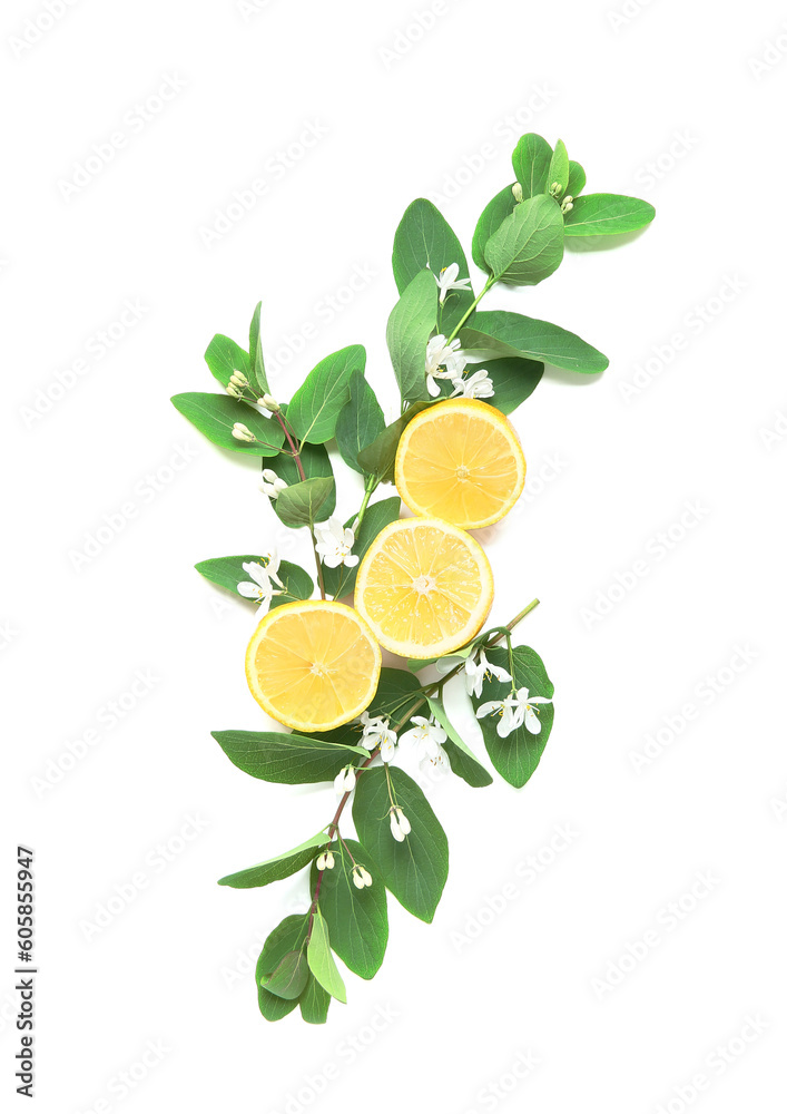 Delicious ripe lemons and flowering branches on white background