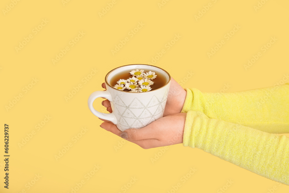 Female hands with cup of chamomile tea and flowers near yellow wall