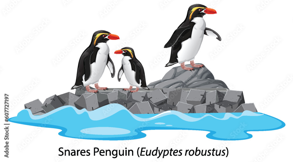 Snares penguin cartoon on the rock