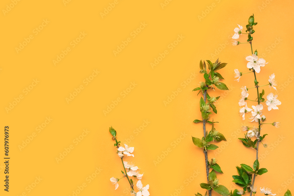 Blooming tree branches with white flowers on orange background