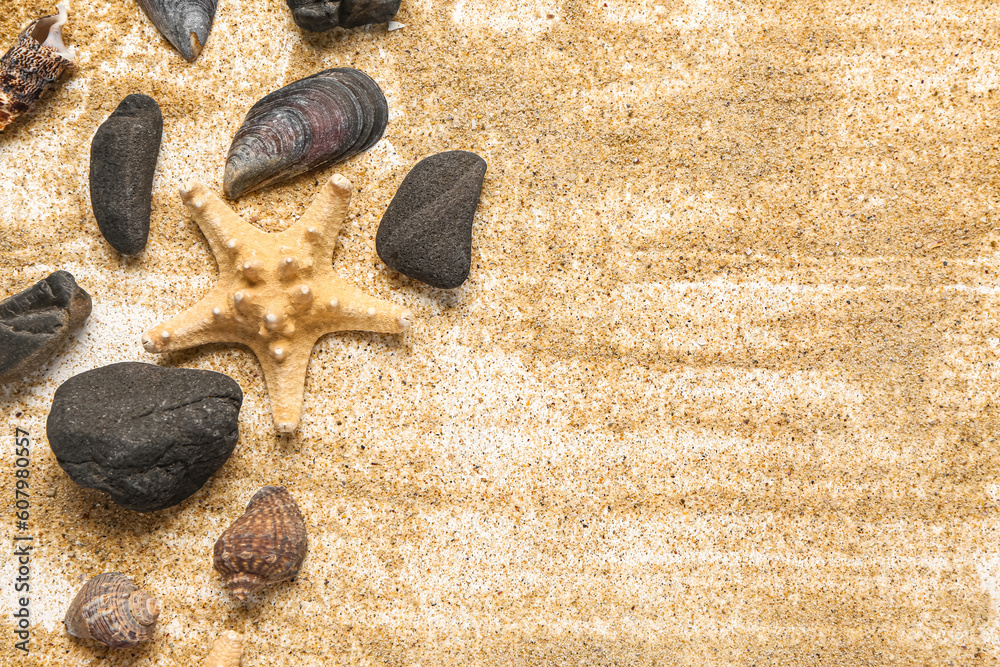 Seashells and starfish with sand on white background