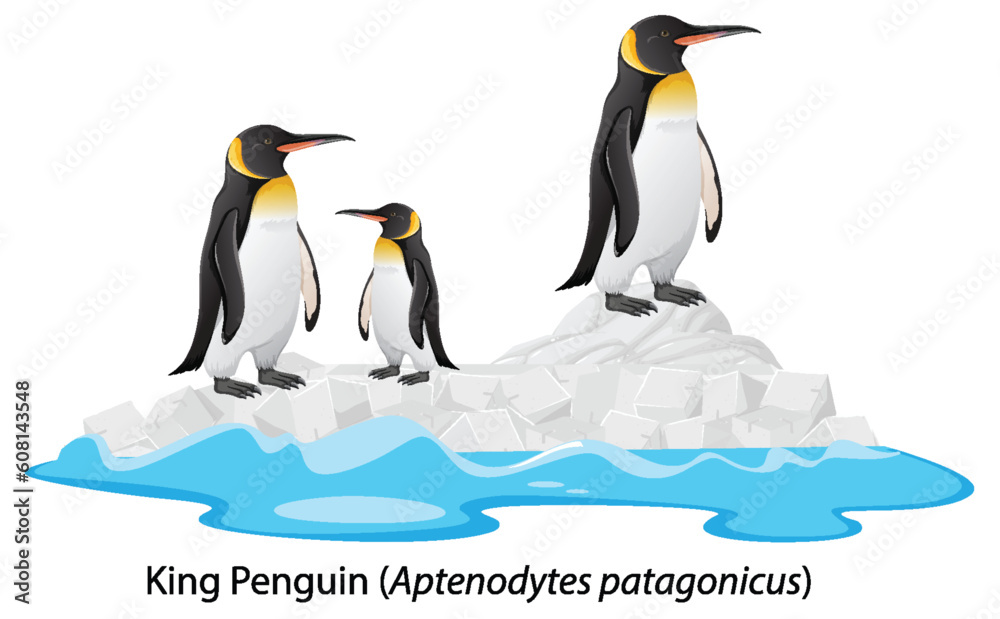 King penguin cartoon on the rock