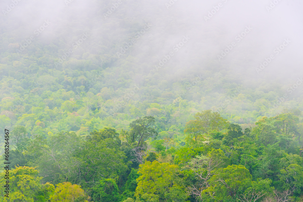 The background of nature with fog on the mountain. In the rainy weather in the countryside. winter.s