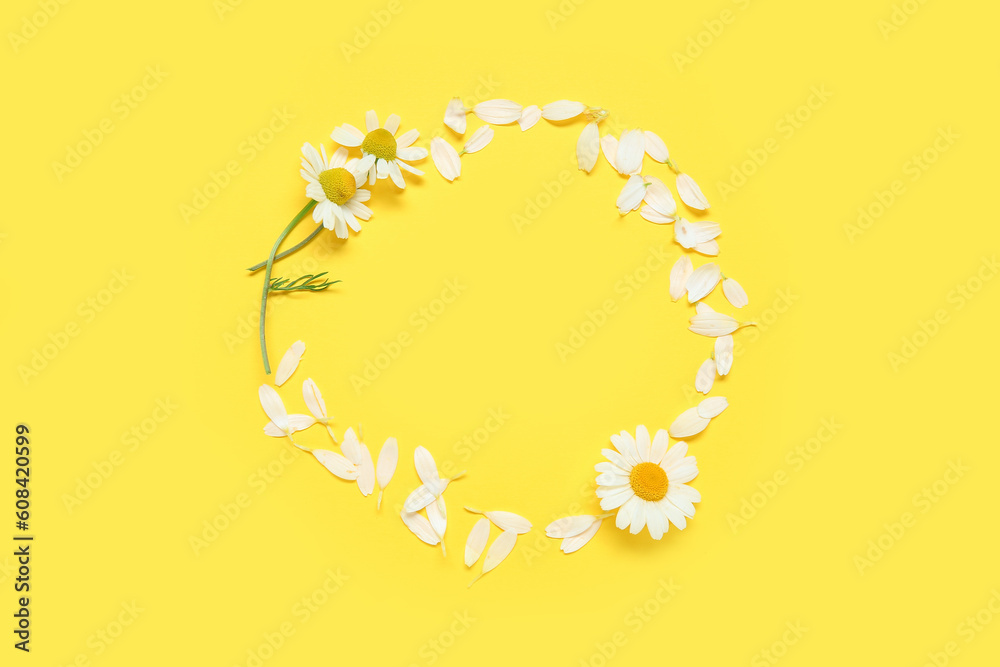 Frame made of fresh chamomile flowers and petals on yellow background