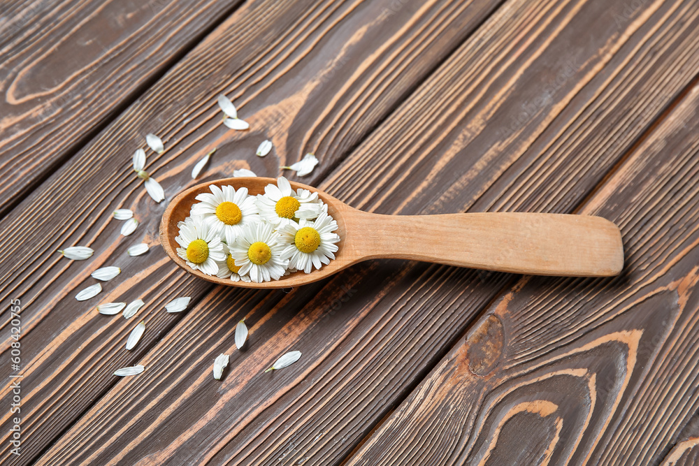 Spoon with fresh chamomile flowers on wooden background