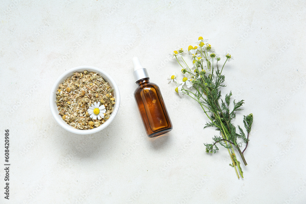 Bottle of essential oil, dried and fresh chamomile flowers on light background