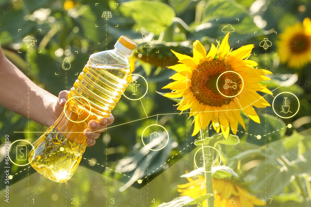 Farmer holding bottle of sunflower oil in field. Concept of smart farming