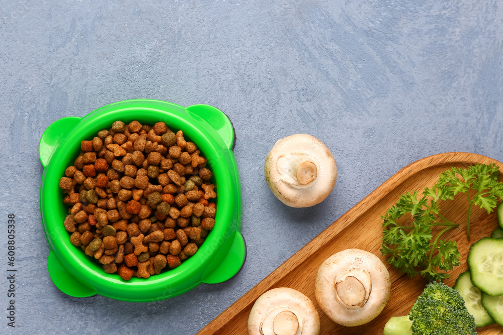 Bowl with dry pet food and natural products on color background